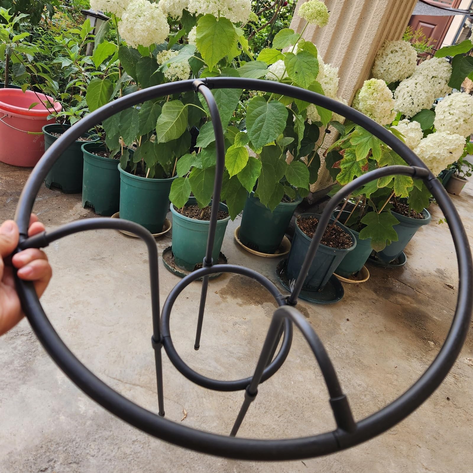 LTSRLL Obélisque De Jardin en Métal 70/100/130/160 Cm Cages Tuteurs Ø 22 Cm Support pour Plantes Grimpantes(70cm/2.3ft)