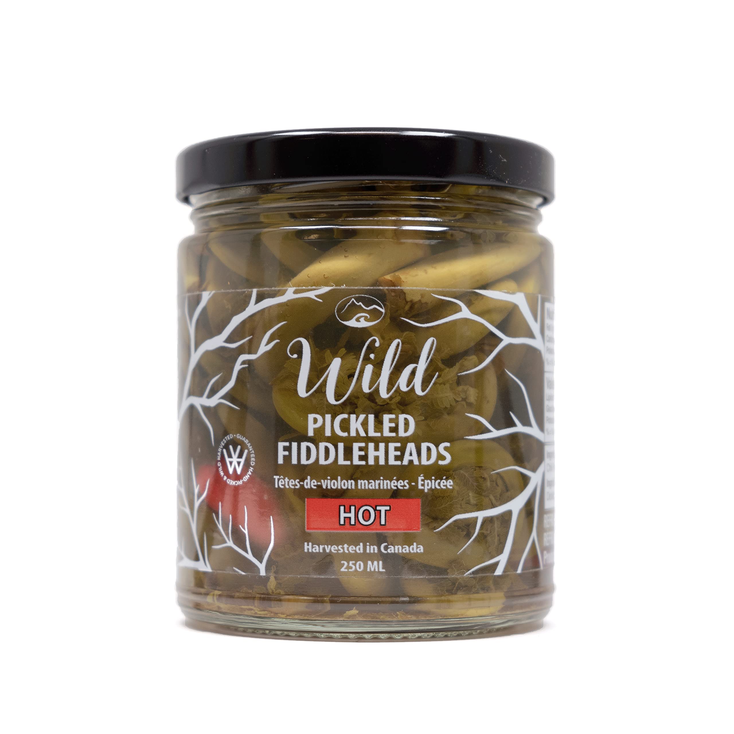 Wild Pickled Fiddleheads (Hot | 250ml - 8oz) | Local | West Coast Wild Foods