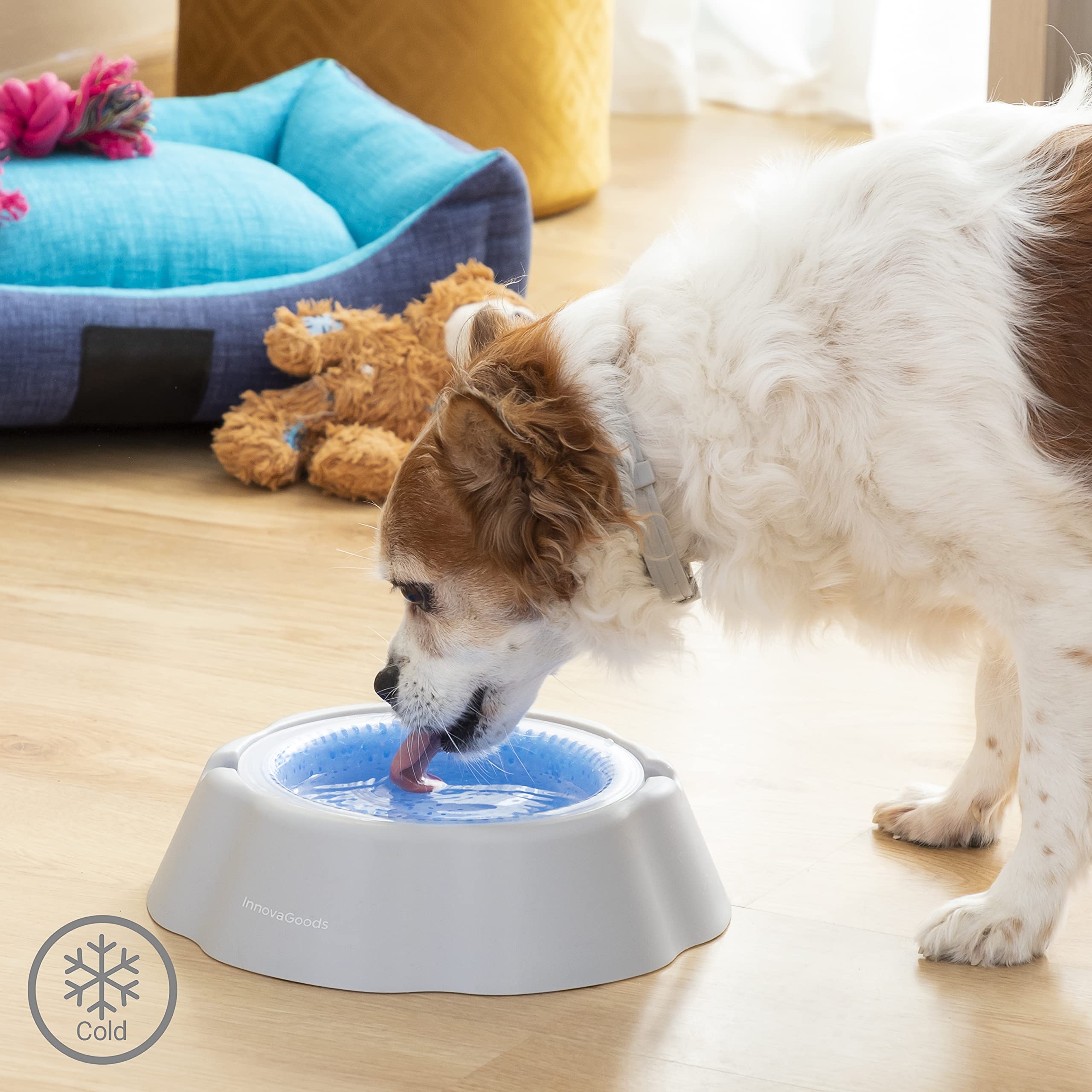 Bebedero Refrescante para Mascotas Freshty InnovaGoods, Gris Azul