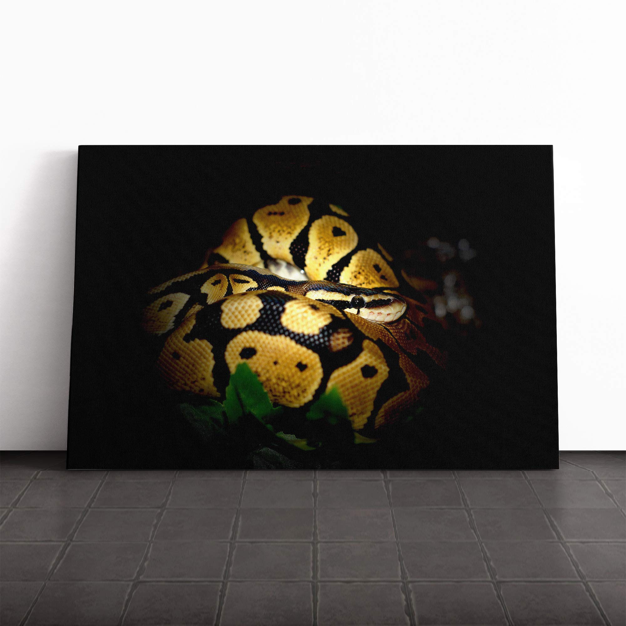 Python Snake Vol.2 Canvas Print | Gallery Wrapped 30mm Frame Wall Art | 24x16 inches | Ready to Hang | Modern Animals Picture | Living Room Bedroom Lounge Office