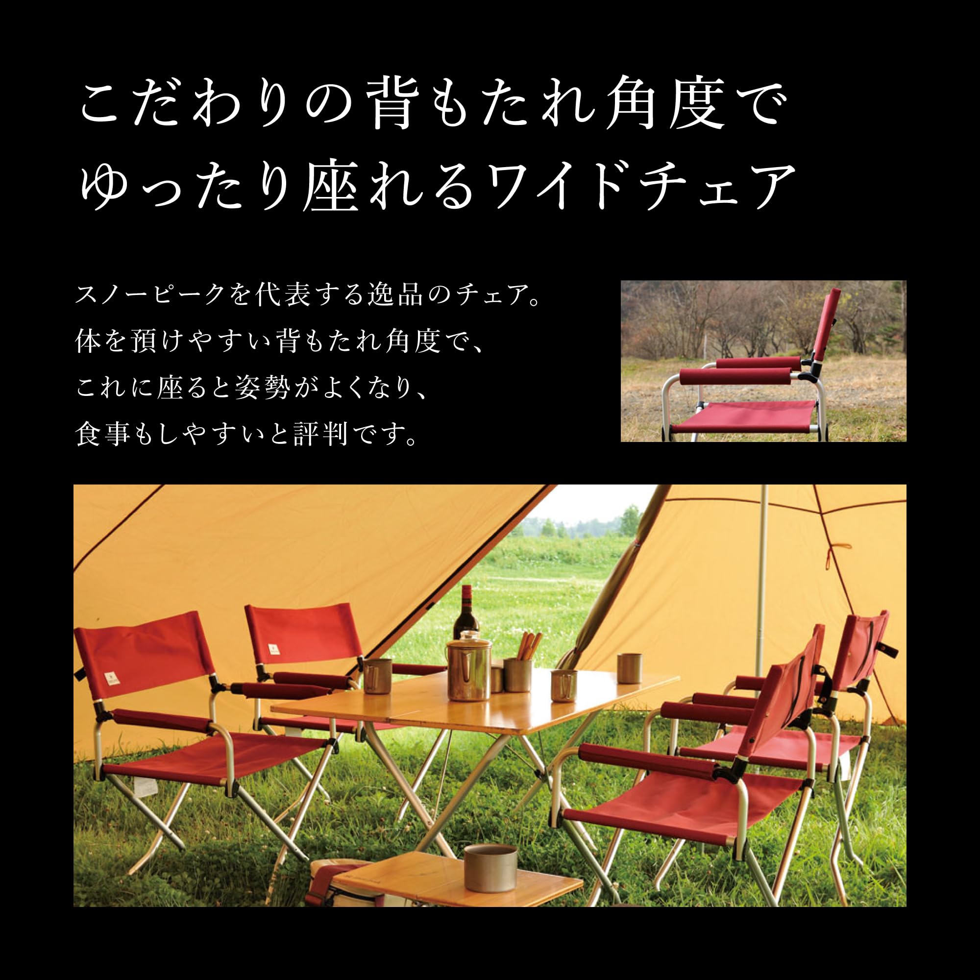 Amazon.co.jp: スノーピーク(snow peak) メッシュFDチェア ブラック