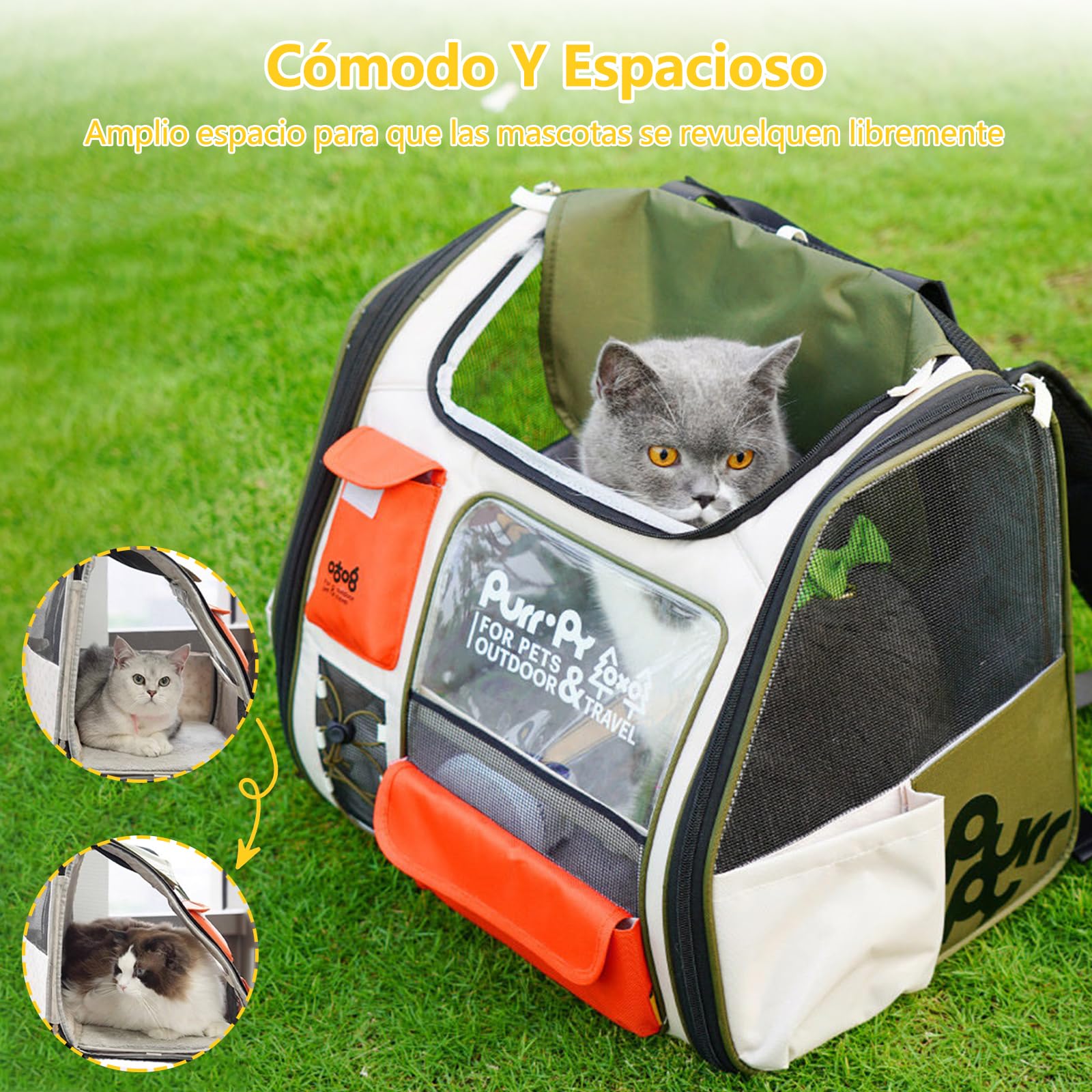 Galatée Mochila para Mascotas Fabricada En Tejido De Poliéster con Malla Especial, Transpirable y Duradera, Plegable para Un Fácil Almacenamiento, Cómoda y Espaciosa (Verde)