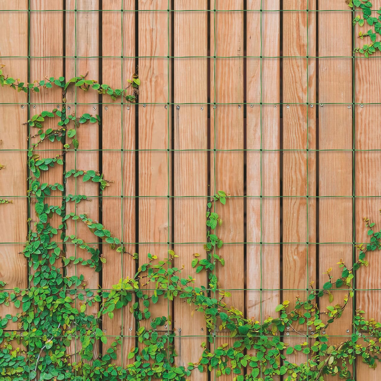 Mysmartbuy.com Green Garden Netting - Outdoor Polypropylene Trellis Mesh Net Support For Climbing Plants, Tall Flowers, Vegetables, Fruits, Sweet Pea, Beans, Tomato, Cucumber – Measures 1.7 X 4M With 15 X 15Cm Holes