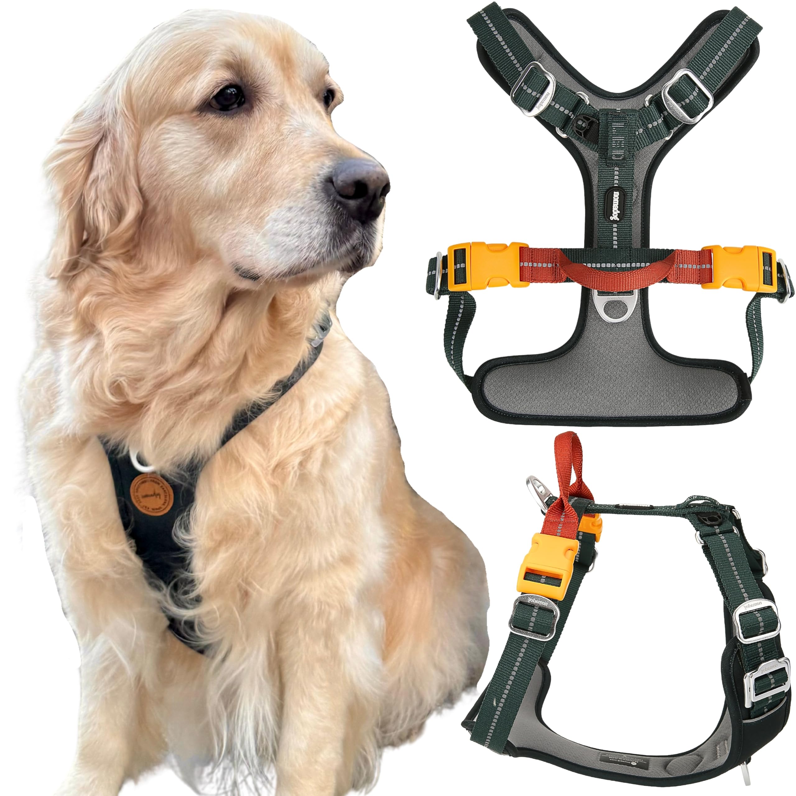 Nomadog Trailblazer Pettorina Anti Tiro Con Maniglia - Imbottita, Regolabile per il Massimo Comfort tutto il Giorno - Per Cani Attivi - Pettorina ad H Cane Taglia Grande (L)