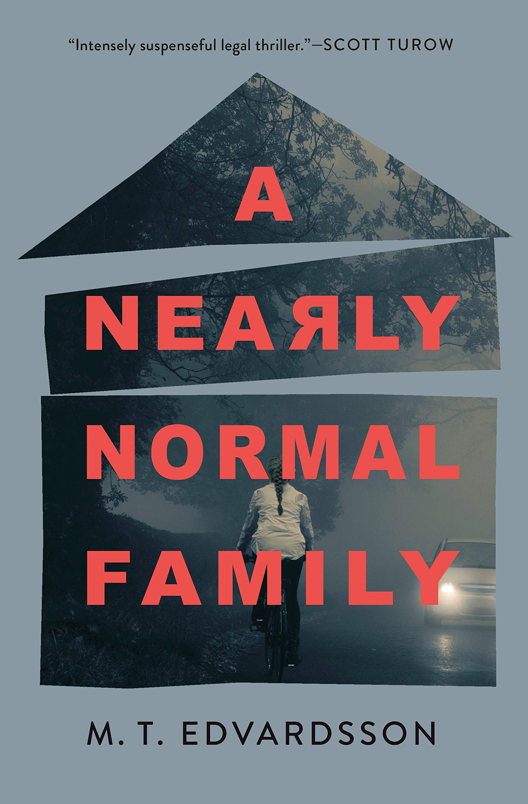 Buy A Nearly Normal Family — BookShops.in