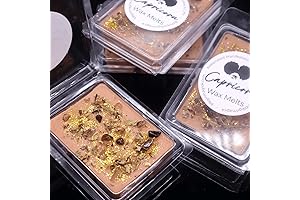 Zodiac Wax Melts with Crystal for December January