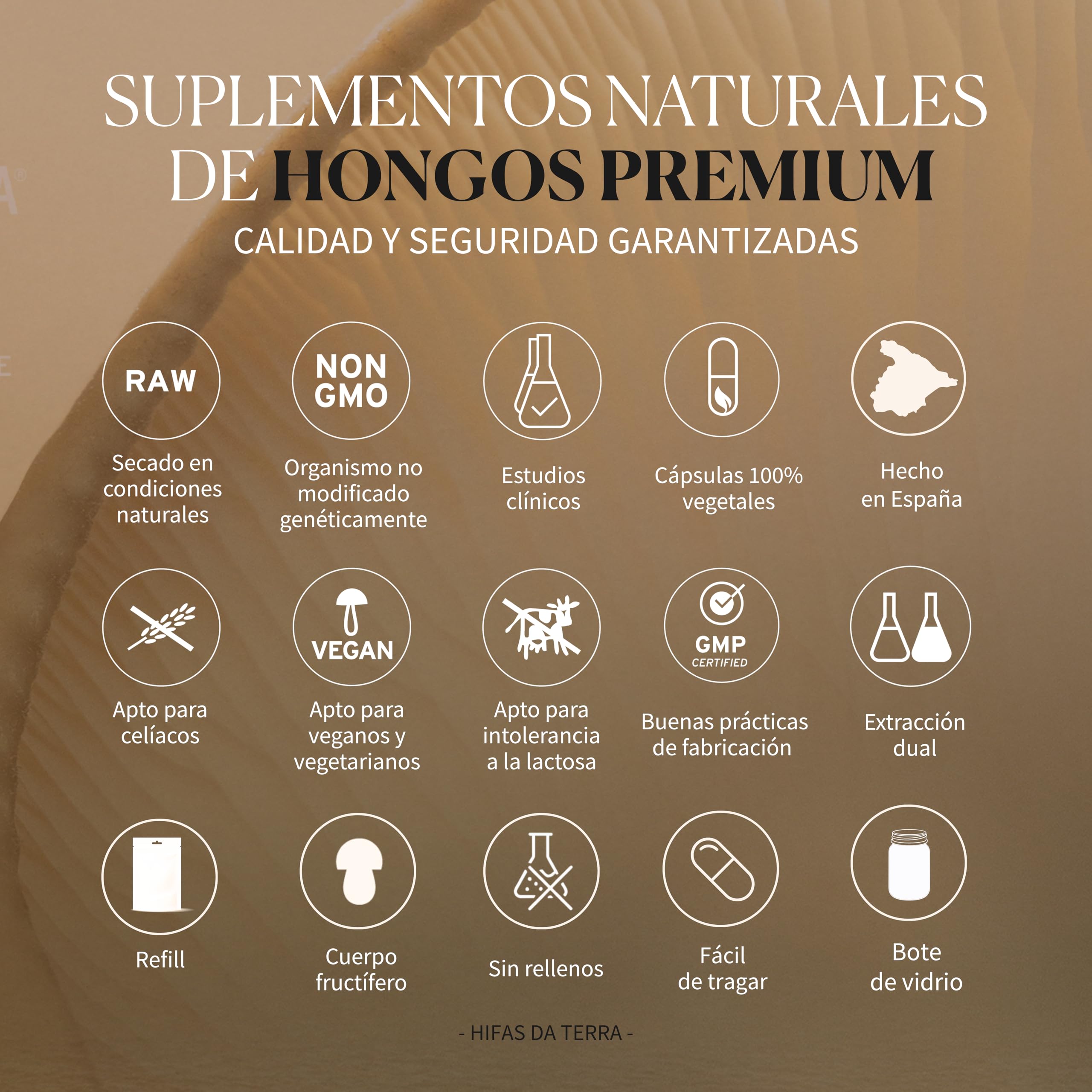 HIFAS DA TERRA - HIFAS-Equilibrium Extractos de Hongos Puros de Reishi, Melena de León y Cordyceps para Equilibrar el Bienestar Físico y Emocional - Refill 60 Cápsulas