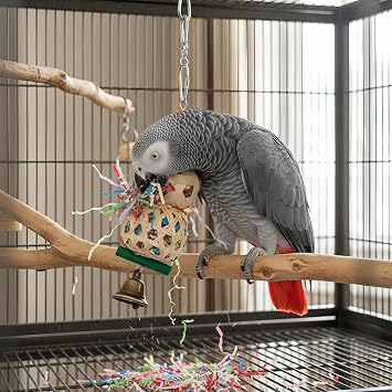 Bird Toys, 2pcs Set for Small & Medium Parrots | Colorful Shredded Paper Foraging Toys, Bamboo Balls, Loofahs, For Cone Tailed, Sunflower Cockatoos, Amazon Parrots
