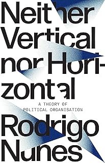 Neither Vertical Nor Horizontal: A Theory of Political Organization