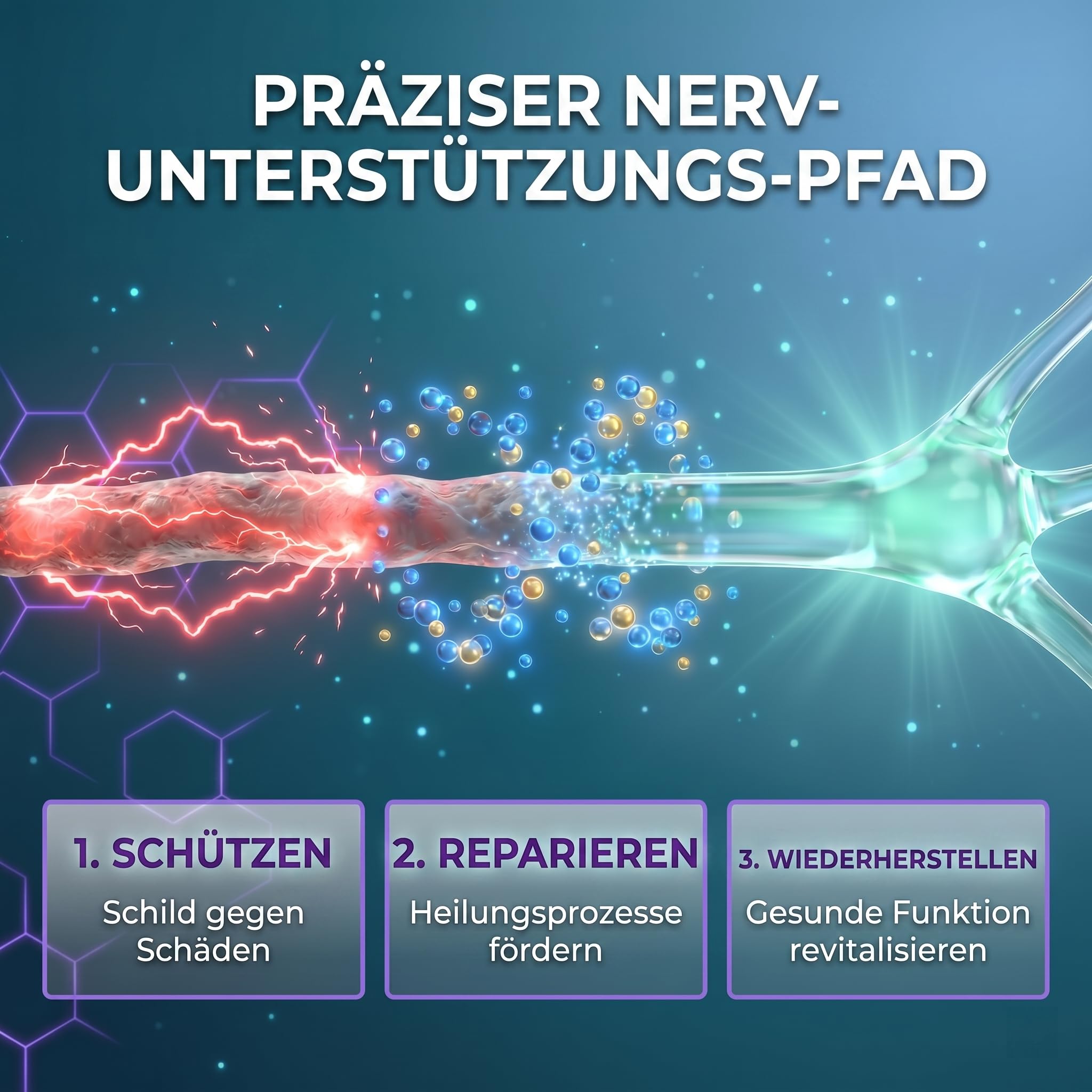 Nerve Support Supplement - Alpha-Liponsäure (Alpha Lipoic Acid) 650mg | Hochdosiert zur Unterstützung Nervensystem, Fortschrittliche Formel für Komfort an Händen, Füßen und Zehen, 120 Kapseln