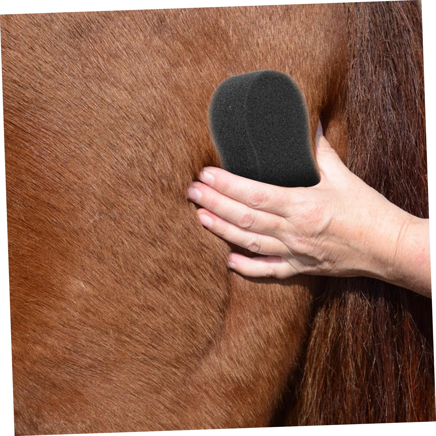 OUNONA Esponjas de Aseo para Ganado 5 Piezas Esponjas de Limpieza Negra Cuidado Diario sin Dañar el Tejido Cutáneo del Caballo
