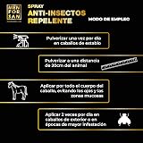 Ver la foto 5
