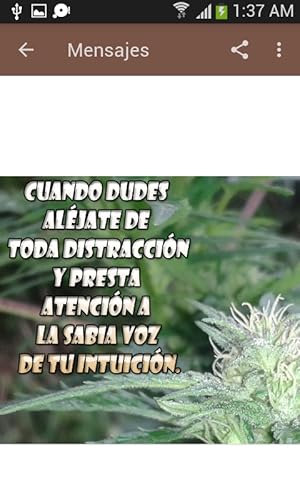 Marijuana con Mensajes Saludos Frases y Wallpapers