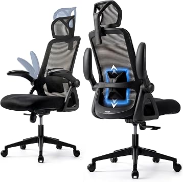 Realm of Thrones Mesh Ergonomic Office Chair, Back Support and Long Hours