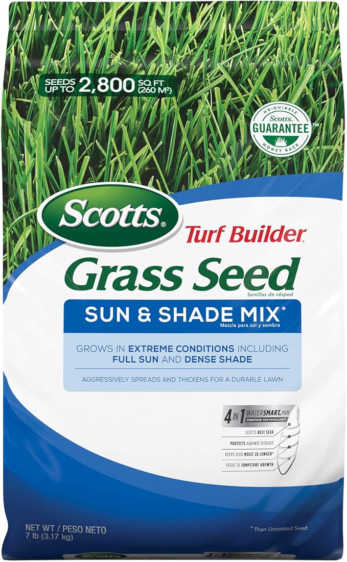 The Best Rated Grass Seed in 2022