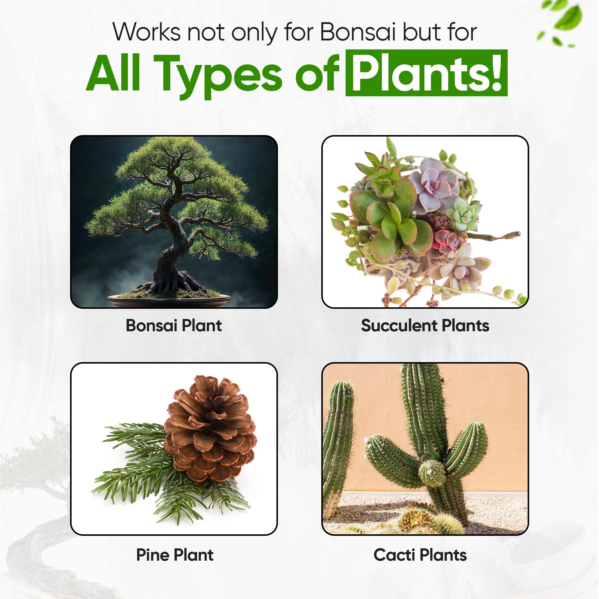 Ulisse BonsaiPro Pumex Optima – Pomice Lavata 2-5 Mm, Substrato Inerte Drenante Per Bonsai E Piante