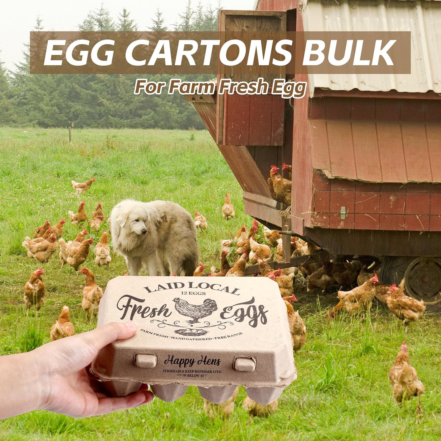Zhanmai 25 Pcs Natural Paper Pulp Egg Cartons Blank Bulk 12 Count Dozen Vintage Classical 3 x 4 Style Square Chicken Cardboard Egg Tray for Family Farm Market Storing Easter Activity Supplies