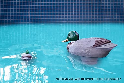 Miniatura 3 de Poolmaster Dispensador de cloro ajustable para piscinas y spas, Mallard