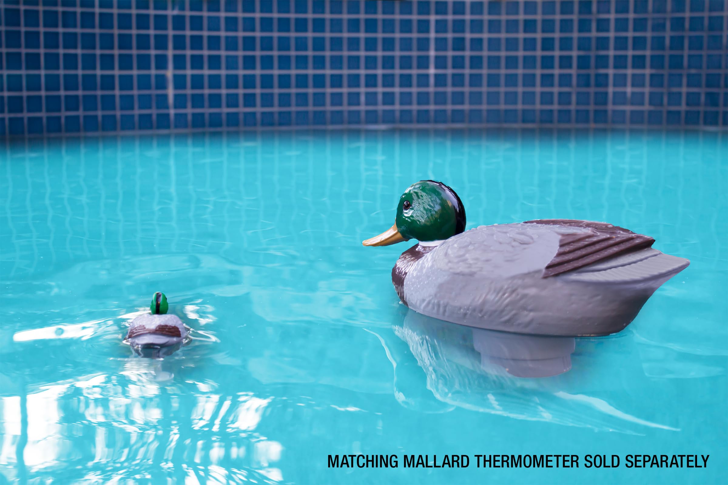 Poolmaster 32130 ChloriDuck Mallard - Dispenser di cloro