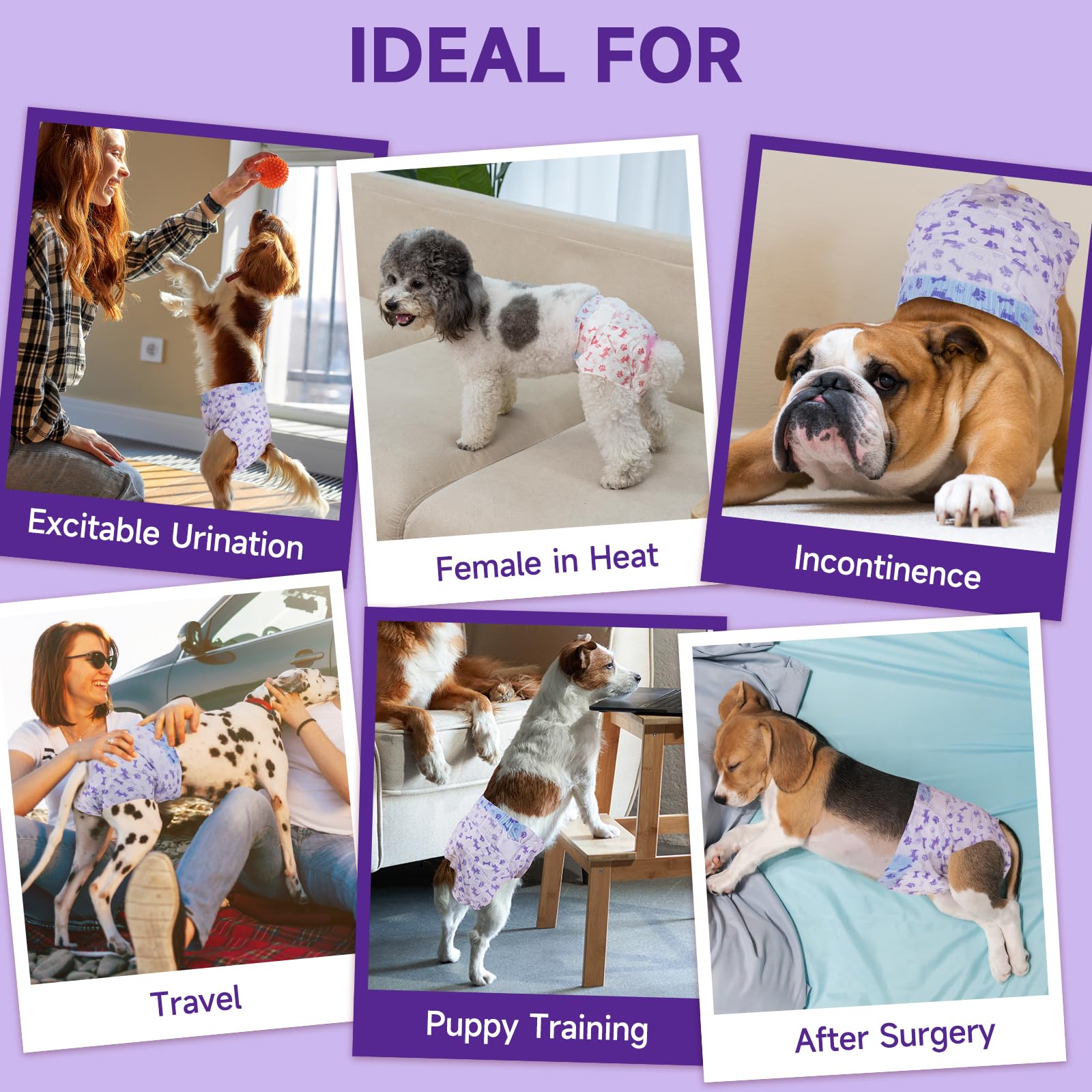 MICOOYO Wegwerp Hondenluiers Met Verstelbare Staartopening, Voor Teef, Puppy, Honden in Het Seizoen (S, 50 Stuks MICOOYO Wegwerp Hondenluiers Met Verstelbare Staartopening, Voor Teef, Puppy, Honden in Het Seizoen (S, 50 Stuks