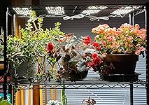 Review Image by Laura Erickson