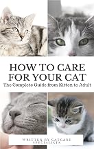 How to Care for Your Lahore, Karachi - Pakistan