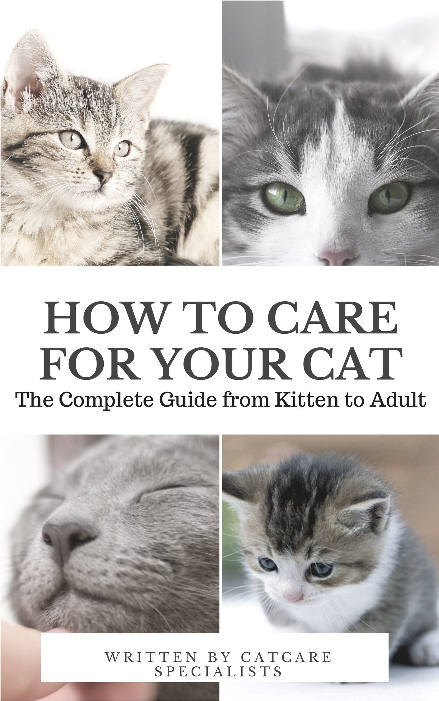 How to Care for Your Cat