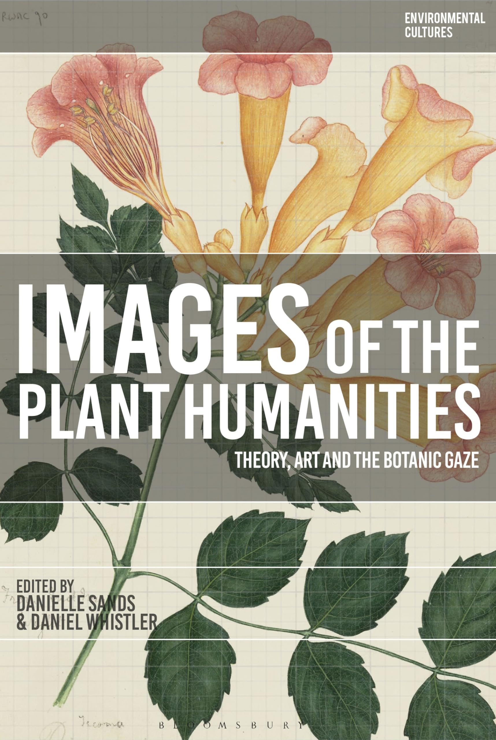 Plant Humanities Theory Art et analyse historique du botanic gaze