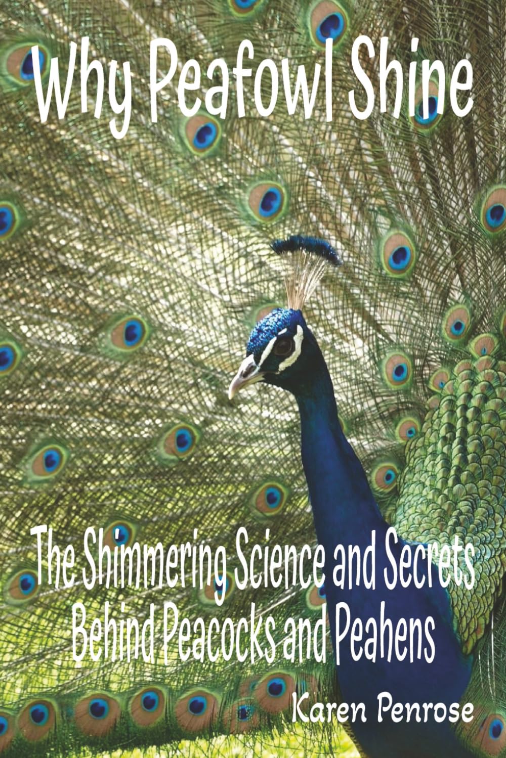 Why Peafowl Shine: The Shimmering Science and Secrets Behind Peacocks and Peahens: Facts for Kids/Exotic Birds/Endangered Animals/Adaptations/Charles ... Conservation/STEM Activities/Citizen Science
