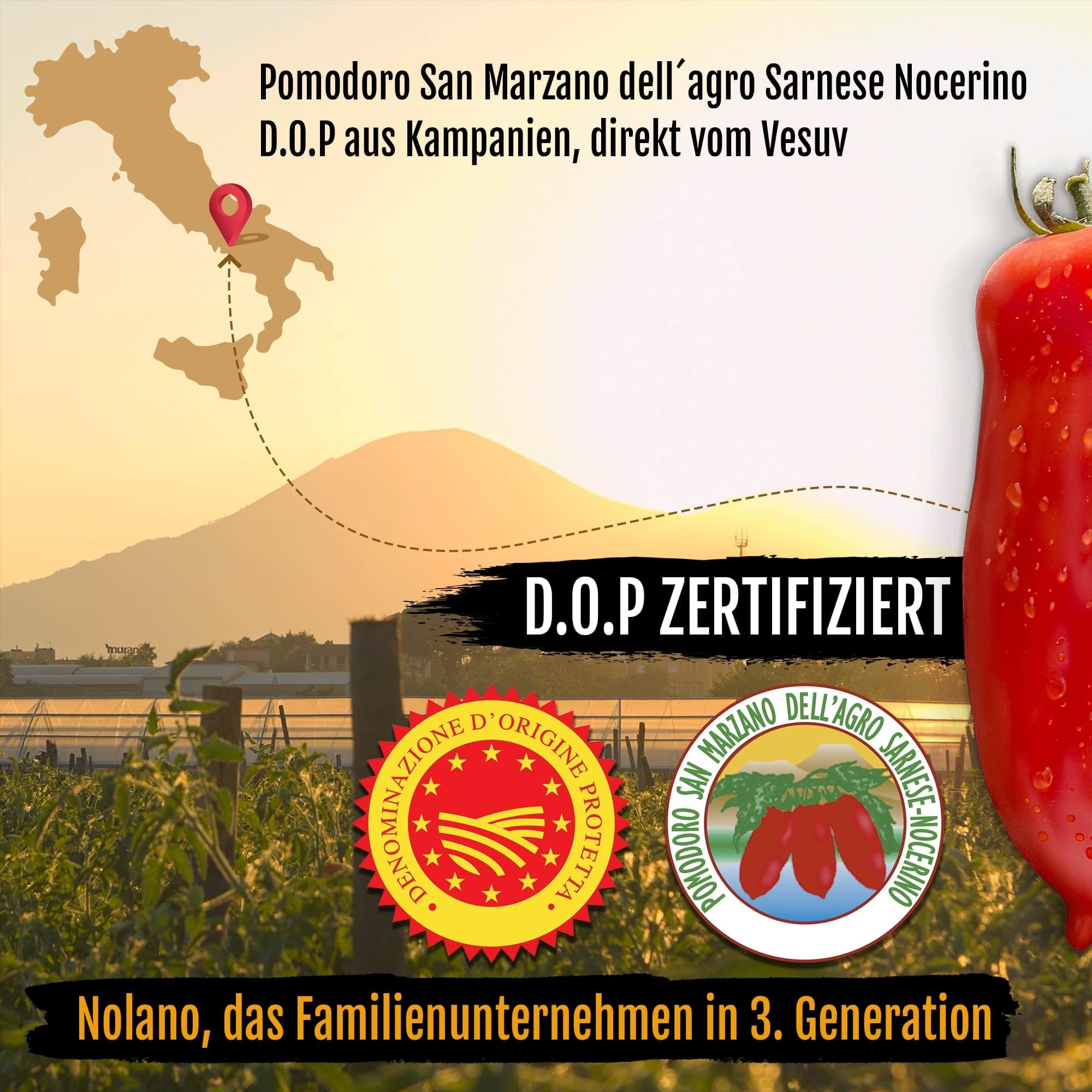 NOLANO San Marzano Tomate Dose DOP ganz & geschält Pizzatomaten 12x 400g