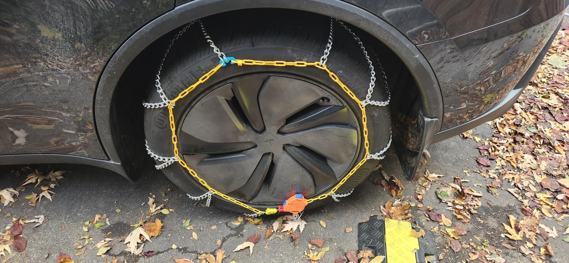 Customer review image