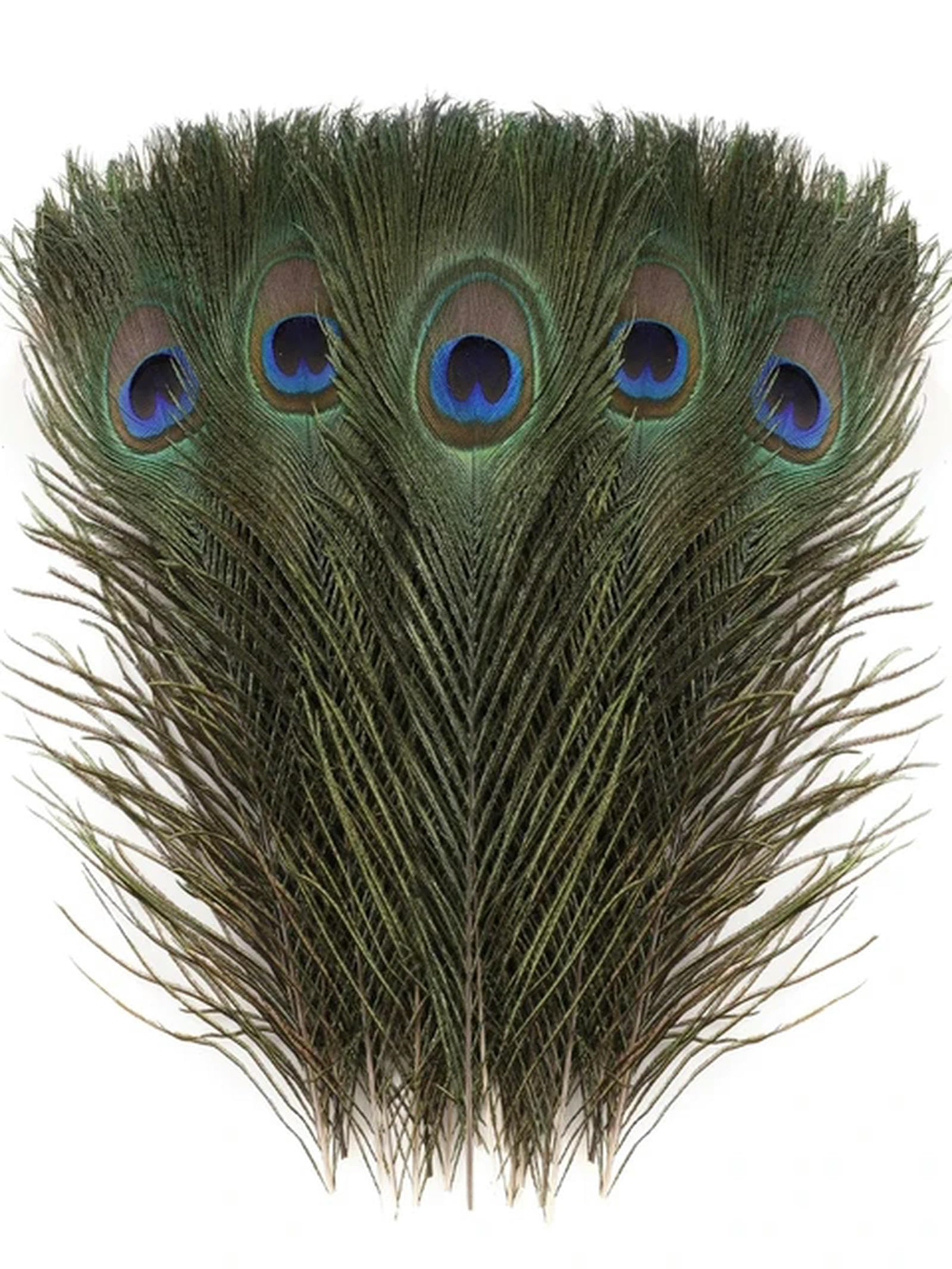 EboLD Wholesale 10Pcs/Lot Natural Peacock Feathers for DIY Craft Wedding Holiday Decorationn Home Decoration and Floral Arrangement-25-30Cm 10-12Inch-10Pcs