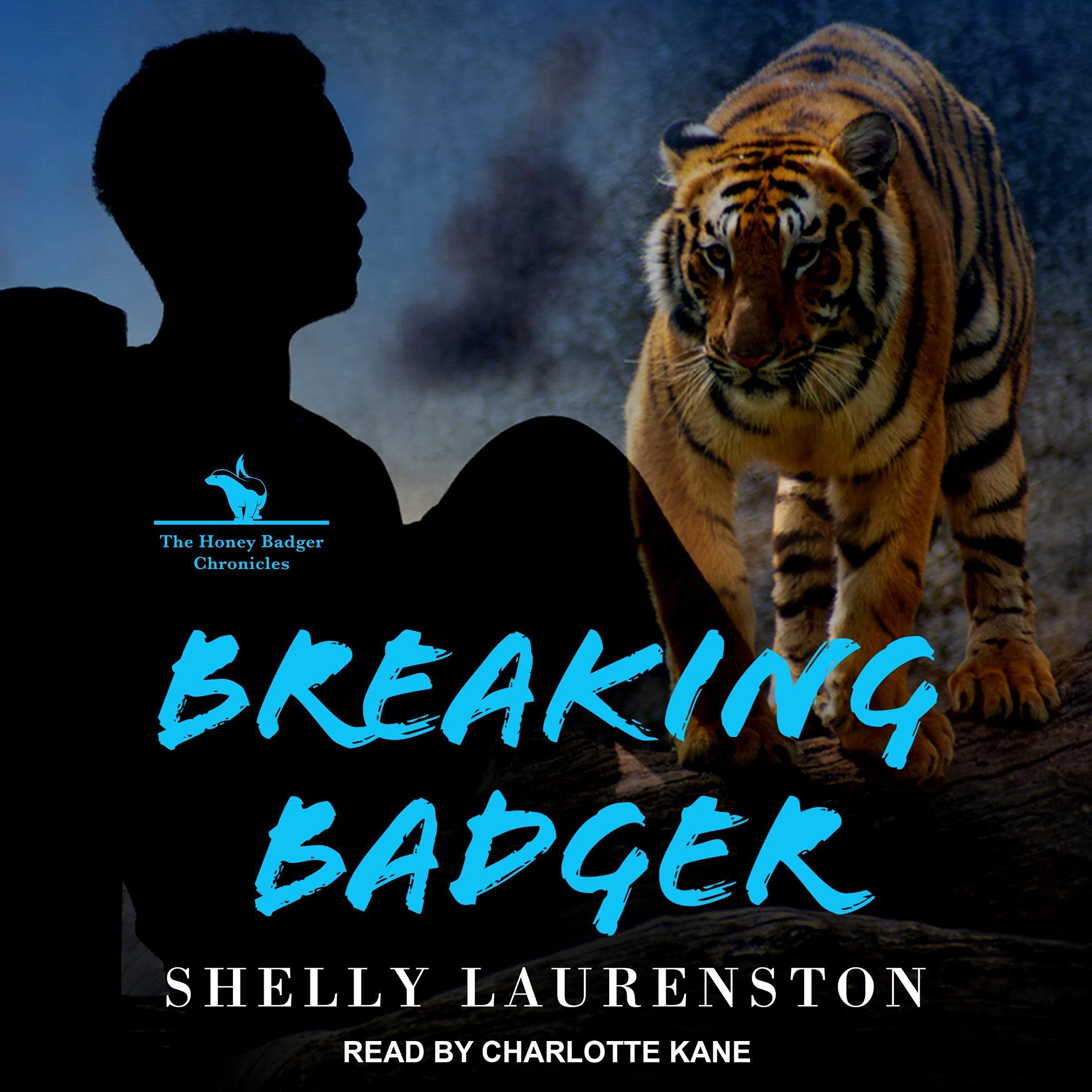 Cover art for Breaking Badger