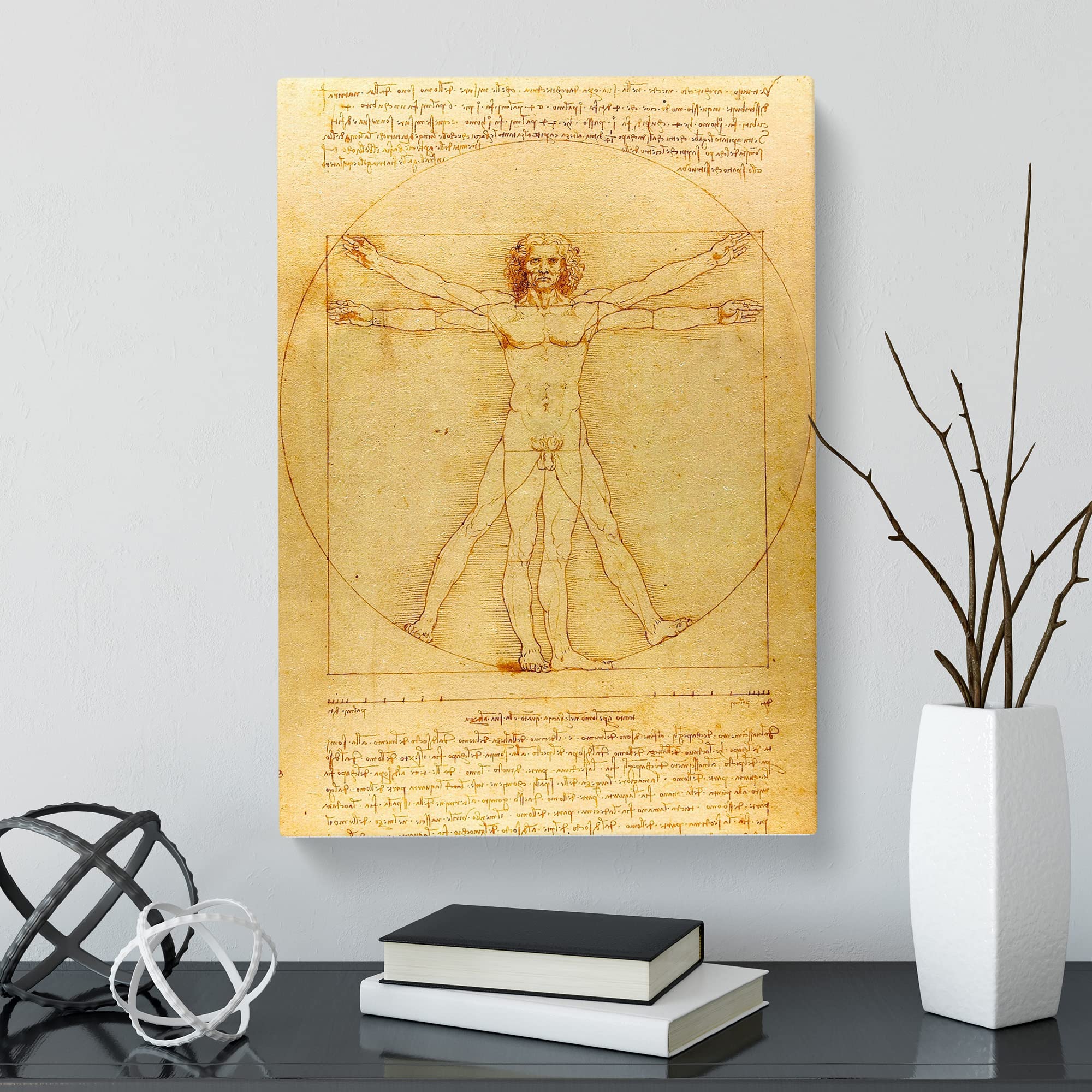 Leonardo Da Vinci The Vitruvian Man Vitruviano Canvas Print, Mixed, 25L x 50W cm - Image 2