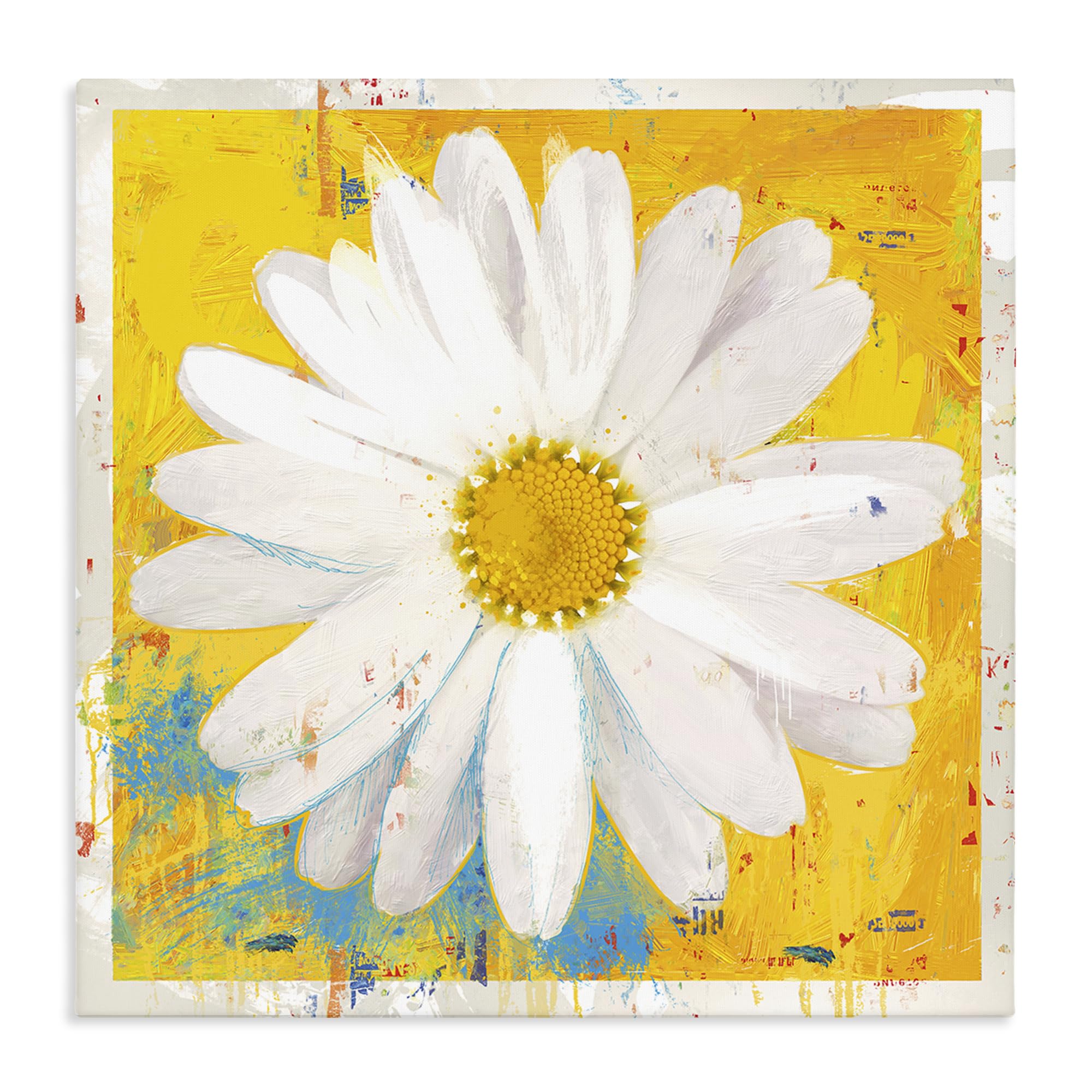 Stupell Industries Sunny Daisy Blossom Yellow 'Violet's Daisy On Yellow', Canvas Art, 30 X 30 Inches, Easy To Hang And Sturdy, Made In Usa, By Porter Hastings