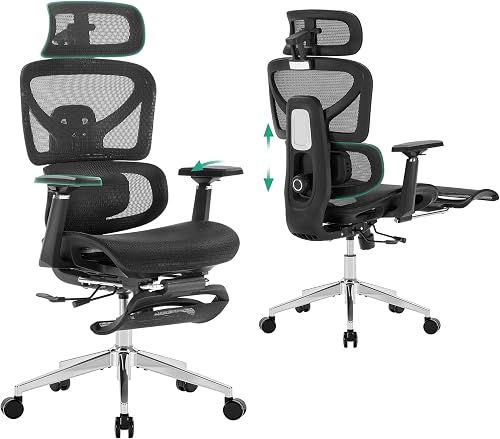 Cozyman Ergonomic Chair
