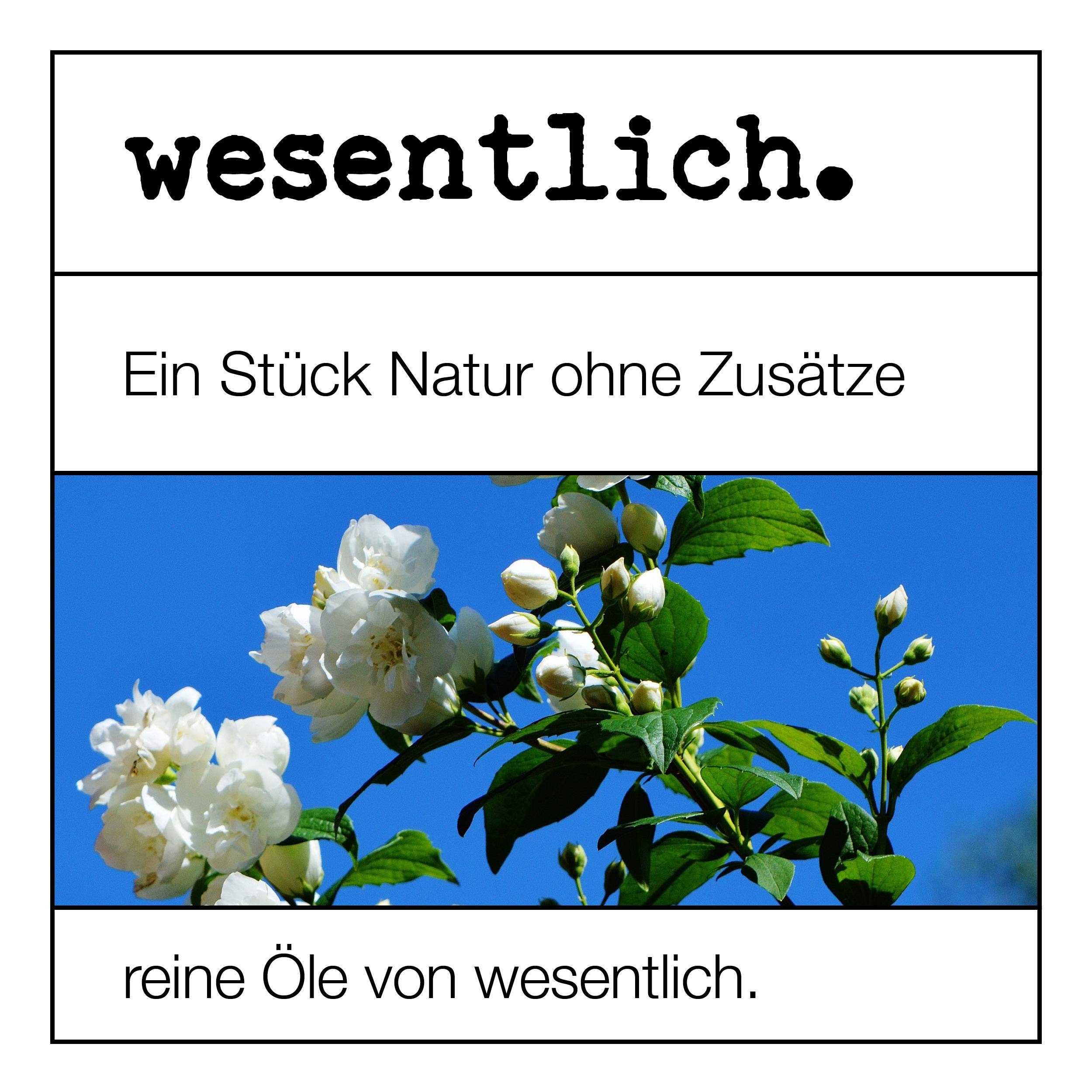 Ätherische Öle Set No. 2 (Basisdüfte) von wesentlich. Pfefferminz, Bergamotte, Fichtennadel, Litsea Cubeba, Rosenholz, Ylang Ylang, Zedernholz und Zitrone - 100% naturrein