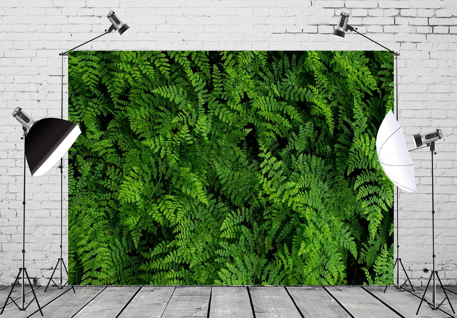 15x10ft Sfondo fotografico con foglie di felci verdi Sfondo fotografico con foresta verde Sfondo con foto di vegetazione naturale Studio fotografico da parete con foglie verdi