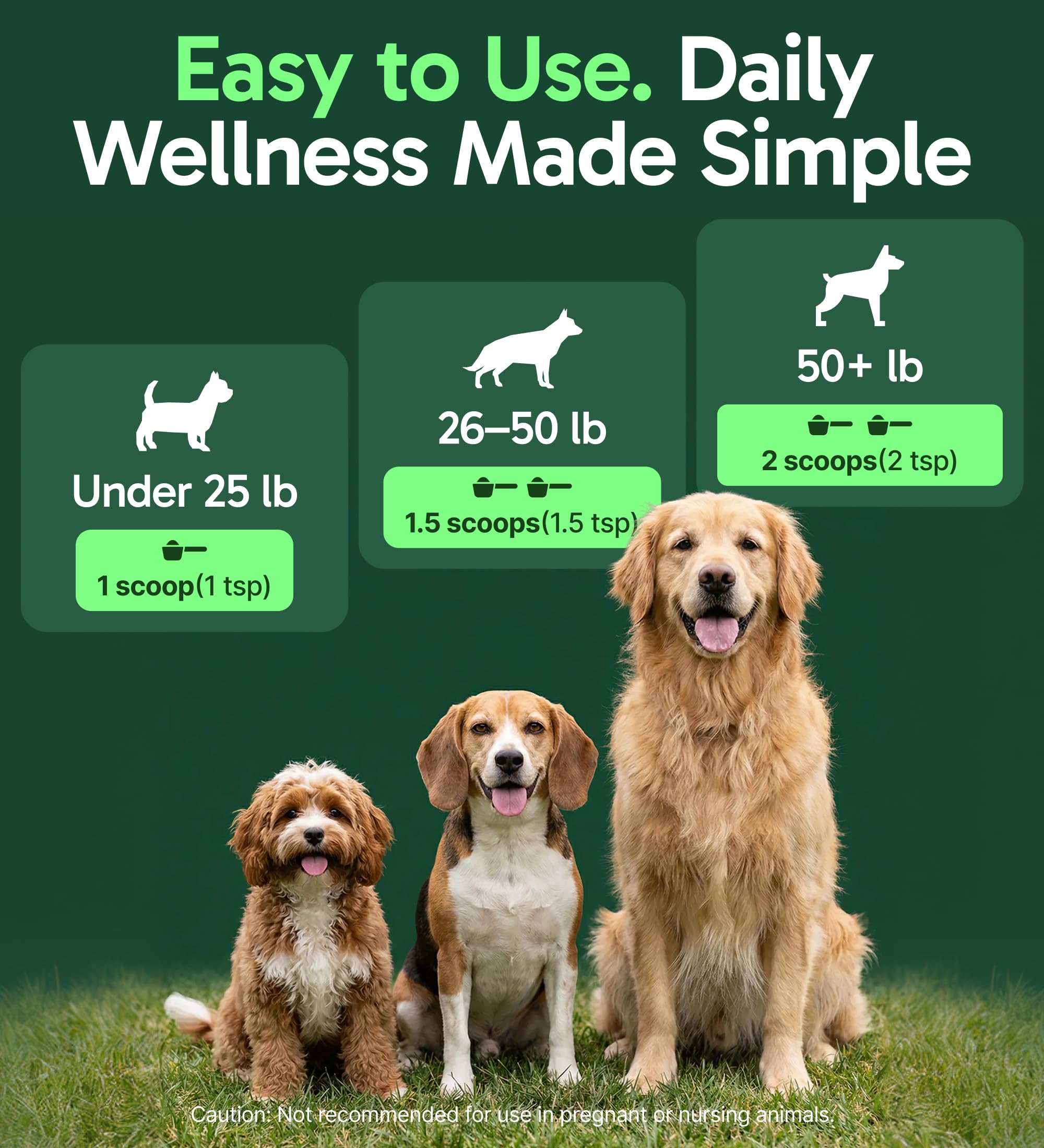 K9 Immune, All-Natural Mushroom Powder for Dogs for Immunity, Digestion, Joints, & Energy, Antioxidant-Rich & USA-Made, Dog Immune Support with Turkey Tail Mushroom for Dogs, 30 Servings — Amazon image 4