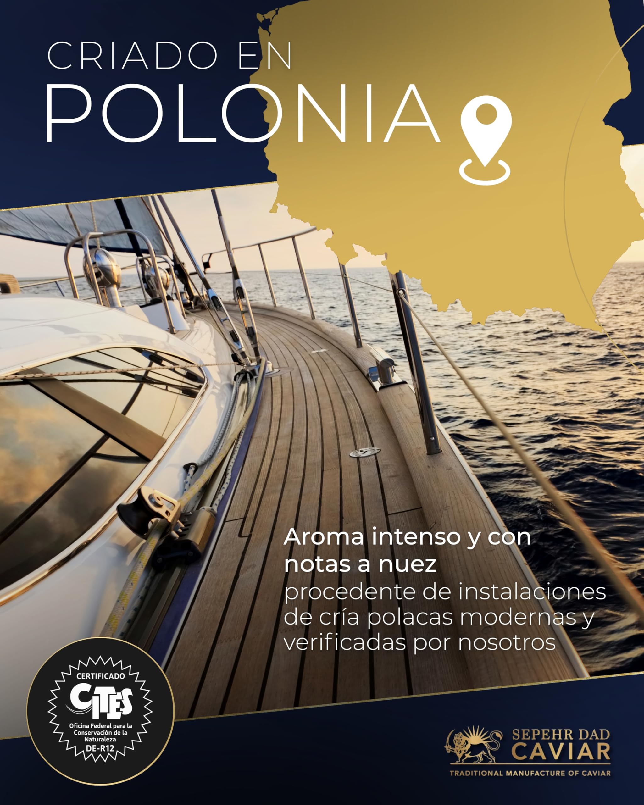 Sepehr Dad Caviar de Siberia | Caviar de esturión siberiano | SIN bórax | 50 gramos - 3