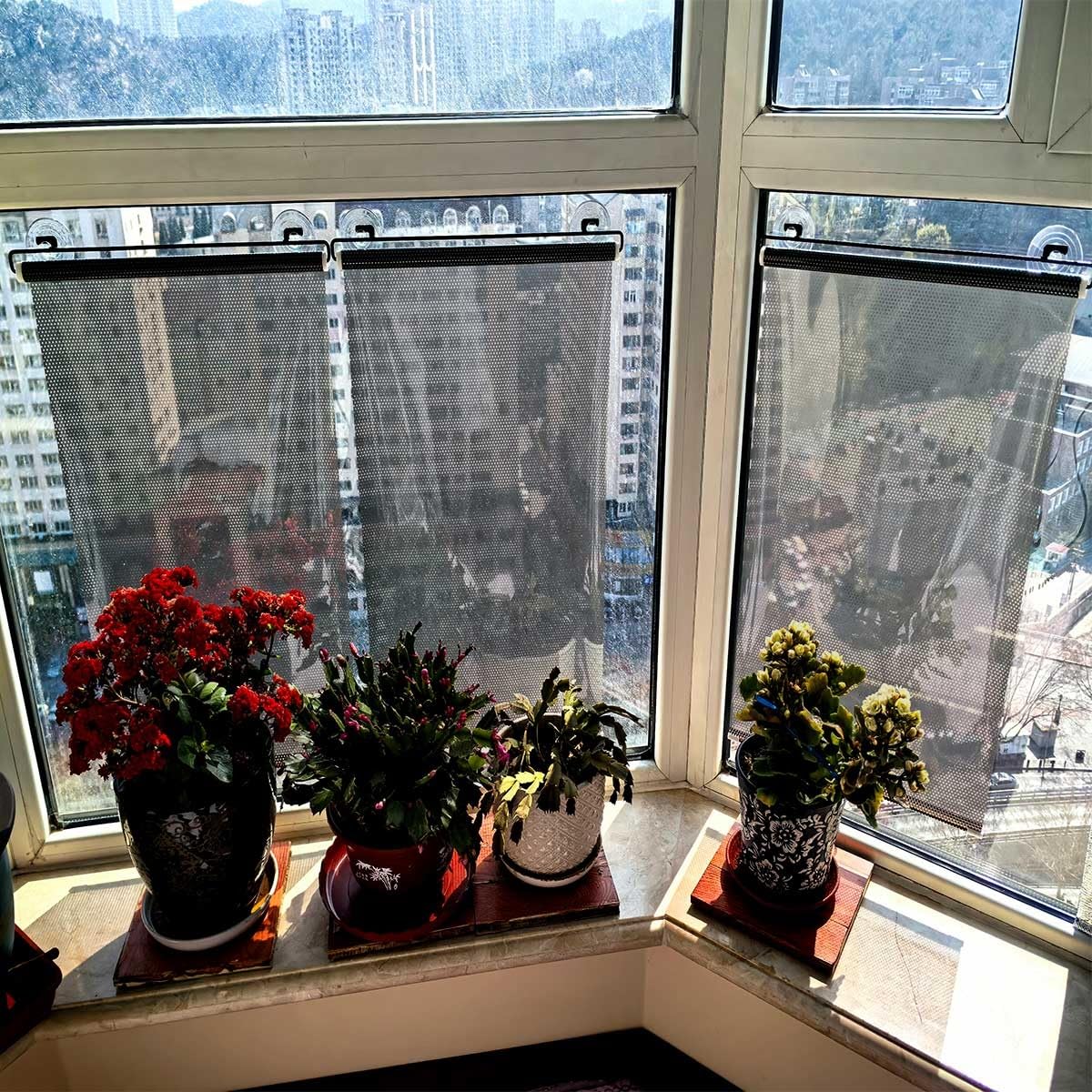 Verdunkelungsrollo ohne Bohren mit Saugnäpfen, Sonnenschutz Fenster innen, Sichtschutz Fensterrollo Saugnapf Verdunkelungsrollos, Einziehbarer Temporäre Jalousien für Küche(Schwarz,W75 x H165cm)