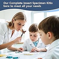 Vista 7 de Kit de herramientas para especímenes de insectos - Tabla de fijación de espuma EVA, papel de coordenadas, papel para prensar alas, pines