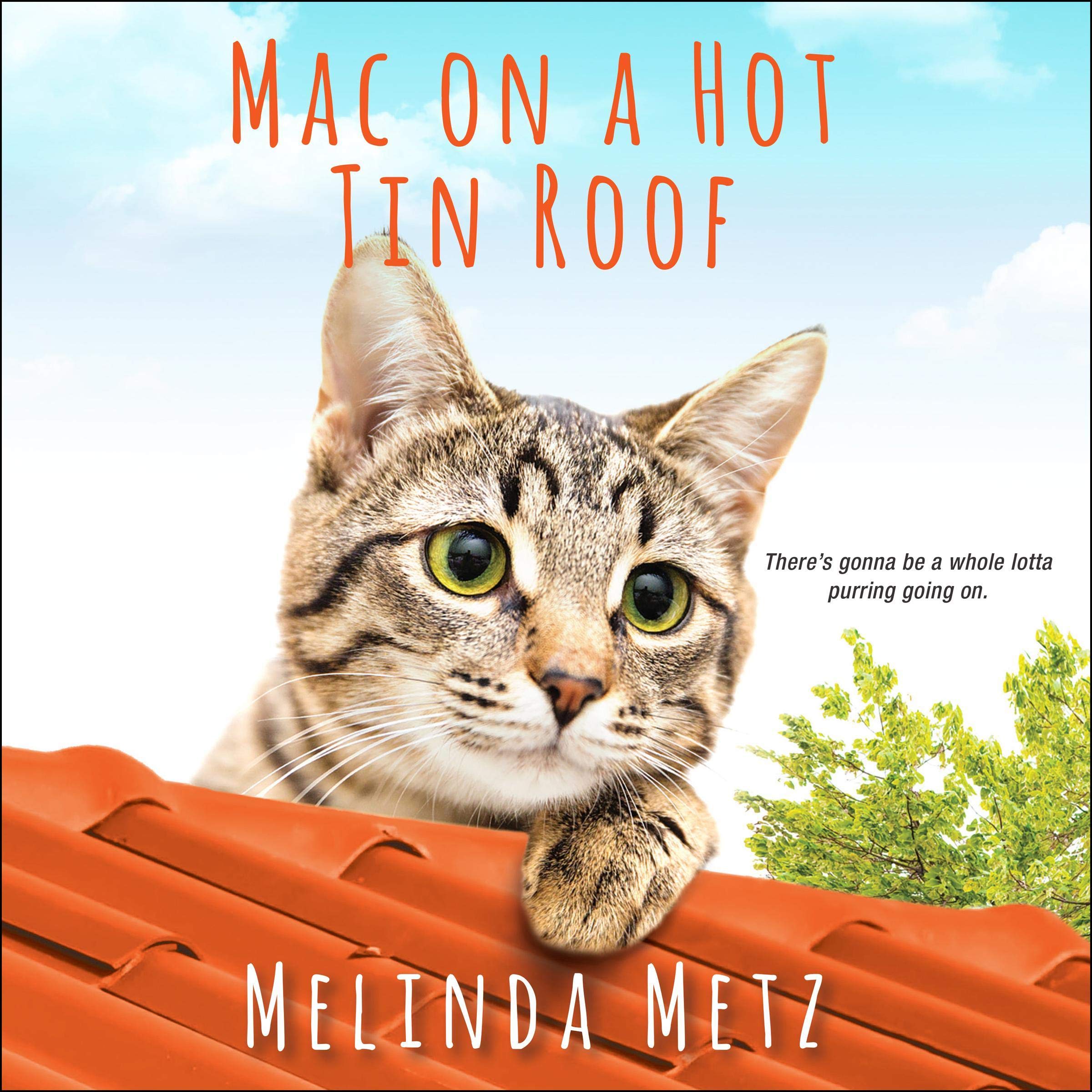 Cover art for Mac on a Hot Tin Roof