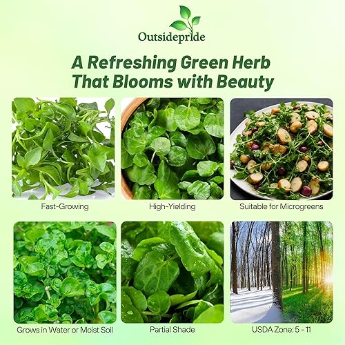 Miniatura 2 de Watercress Blanco