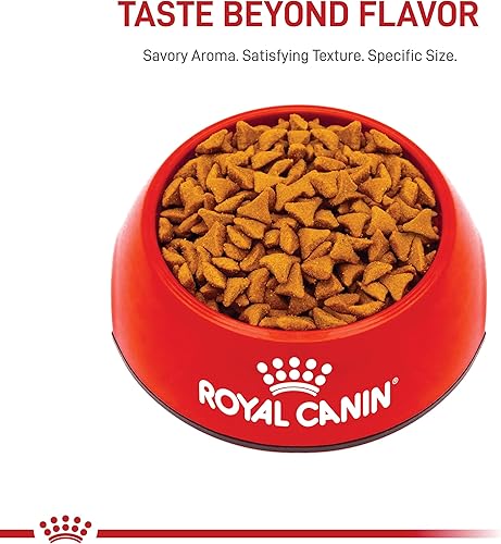 Miniatura 11 de Royal Canin Feline Care Nutrition Hairball Care Alimento seco para gatos adultos, bolsa de 3 libras