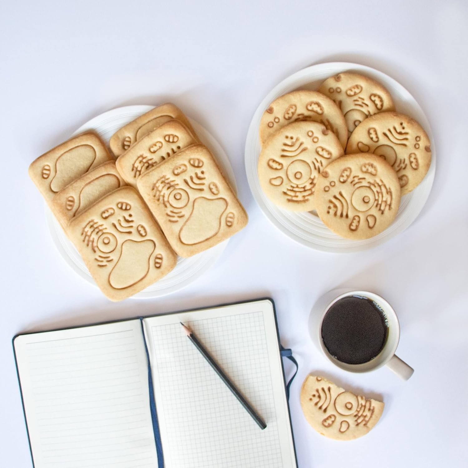 Bakerlogy 2-Piece Human & Plant Cell Cookie Cutters (3D Printed, Dishwasher Safe)