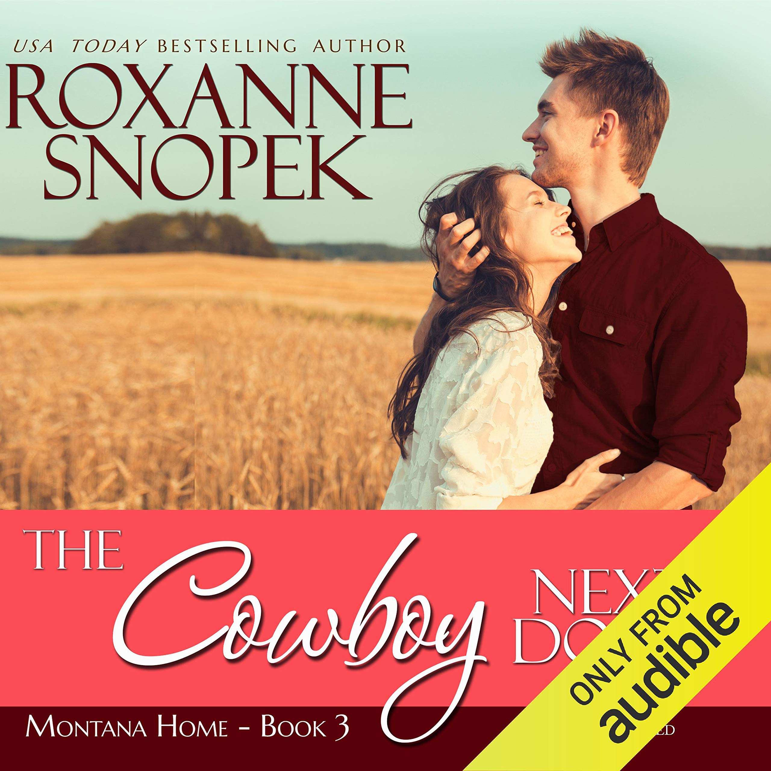 Cover art for The Cowboy Next Door