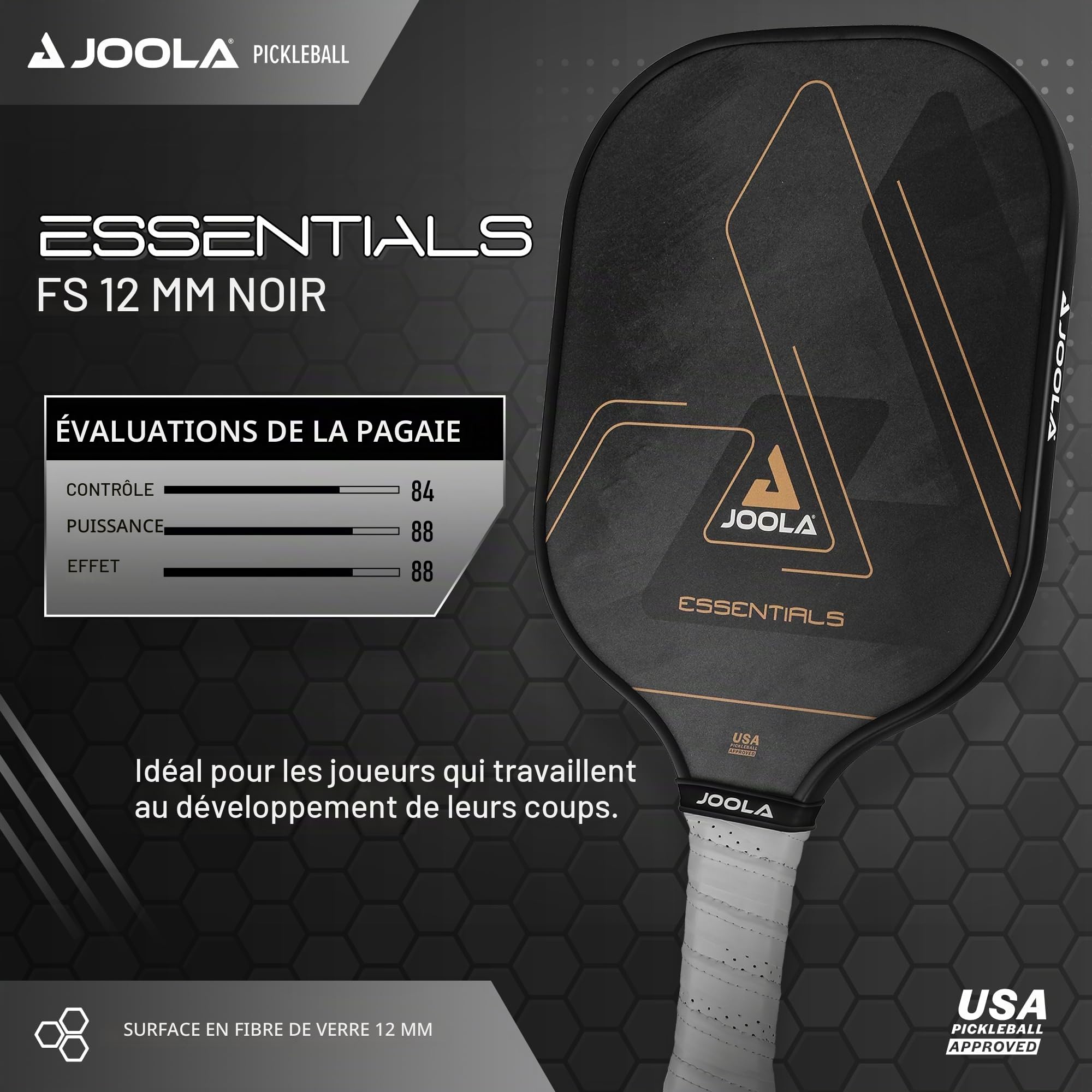 JOOLA Pickleball Essentials Raquette de Pickleball avec Surface en Fibre de Verre, Noyau en polymère et Certification USAPA – Idéale pour Les débutants et Les Joueurs Amateurs