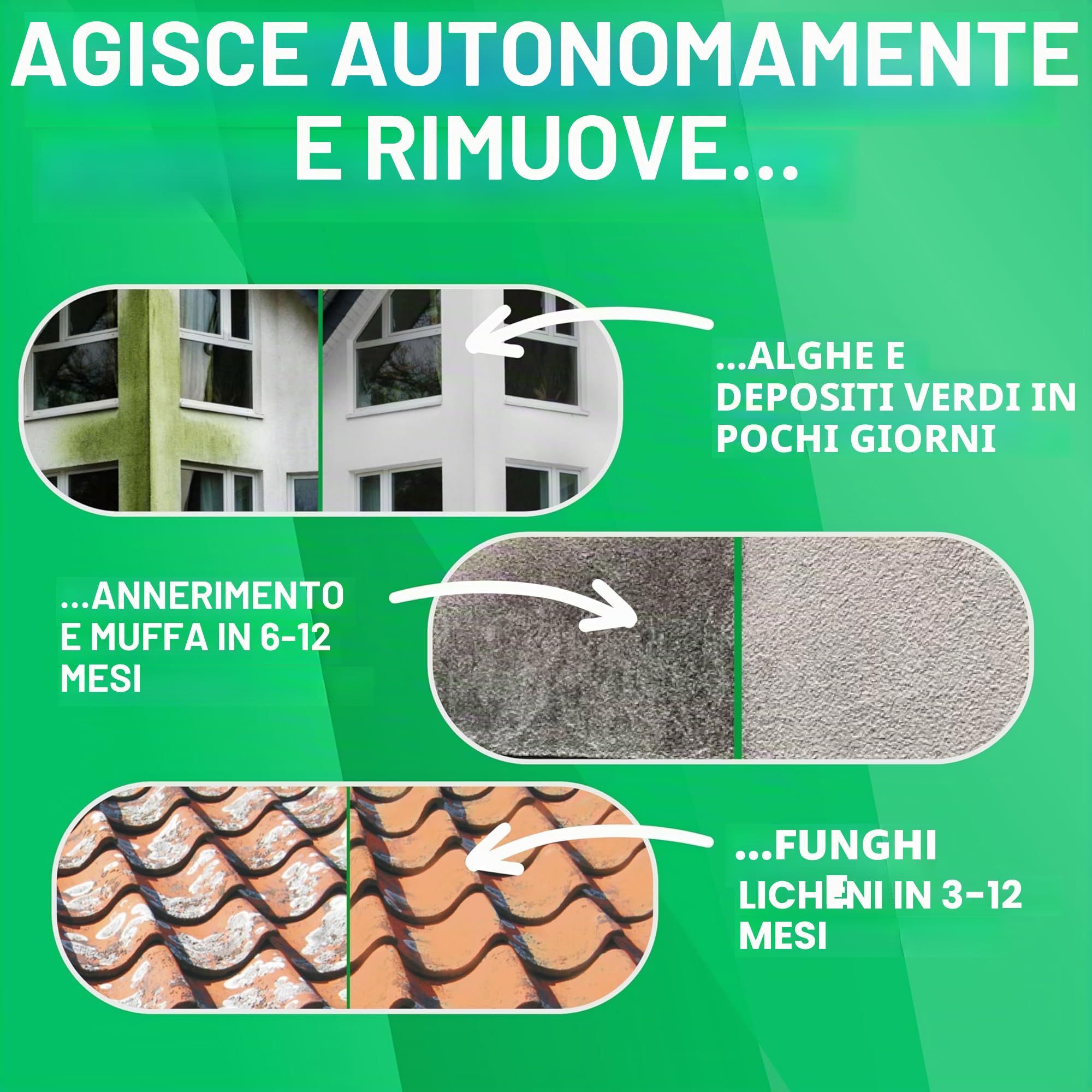 ABACUS Rimozione per pavimenti verdi e alghe, pronto all'uso per la rimozione di pavimenti verdi e alghe Nell Ultra 2 x 750 ml (7283)
