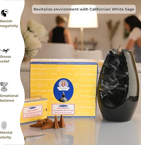 Vista 94 de Super Hit - Conos de incienso de reflujo para cascada, fuente de humo aromático, Haze Falls y esterilla, paquete de 6 Super Hit - 6